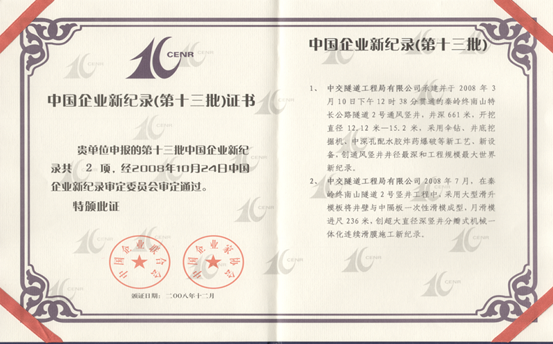 中国企业新纪录（第十三批）